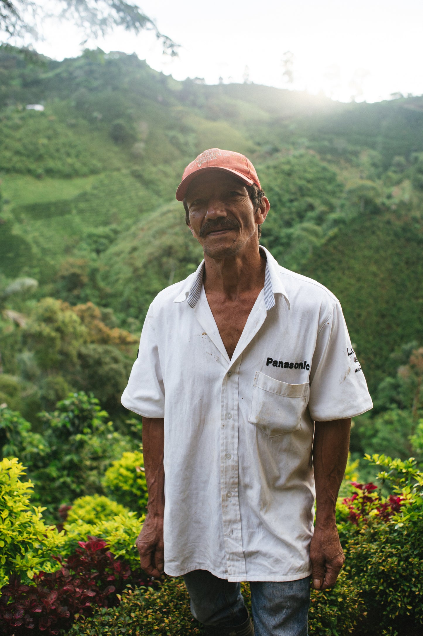 Colombia, Divino Niño - Decaf