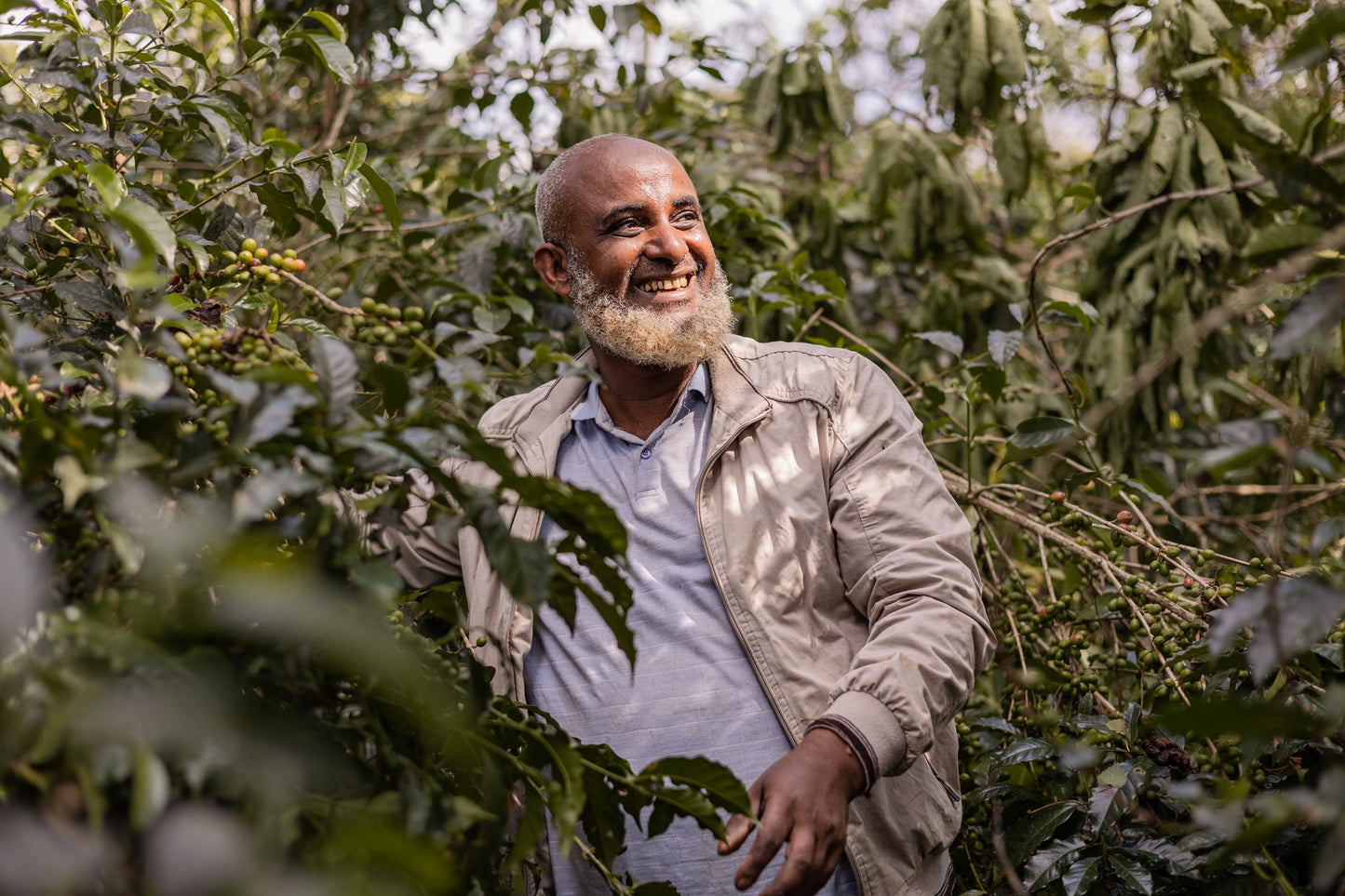 Ethiopia, Mensur Abahika